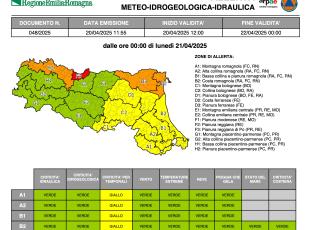 allerta 48-2/2025