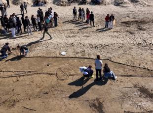grande balena sulla spiaggia