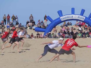 Paganello sulla spiaggia