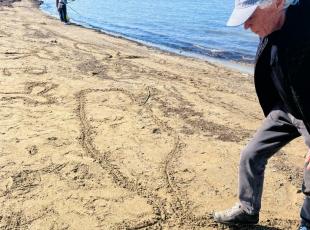 grande balena sulla spiaggia