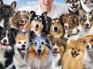 100 cani per litz
