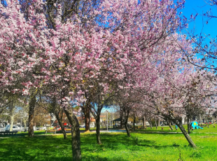 Parco Spina