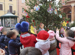 addobbi_scuole_natale_alberi_piazza_cavour_1.png
