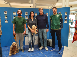 img-20191006-wa0030.png