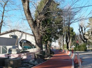 pista_ciclabile_ple_boscovich_-_via_matteotti_05.jpg