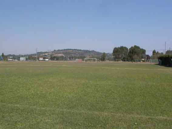 Stadio Romeo Neri