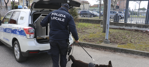 unità cinofila