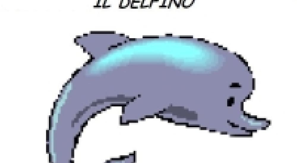 scuola delfino