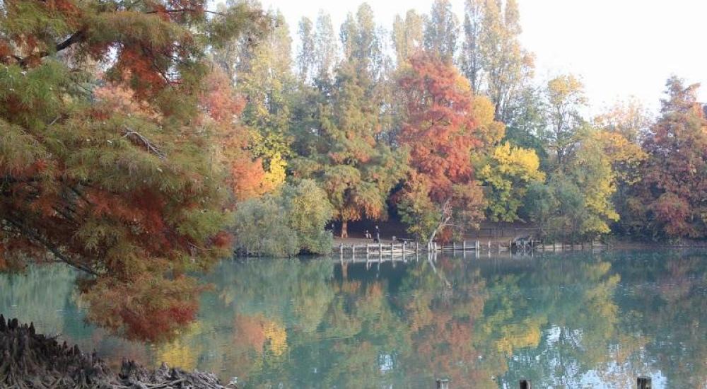 Aree naturali - Parco Giovanni Paolo II