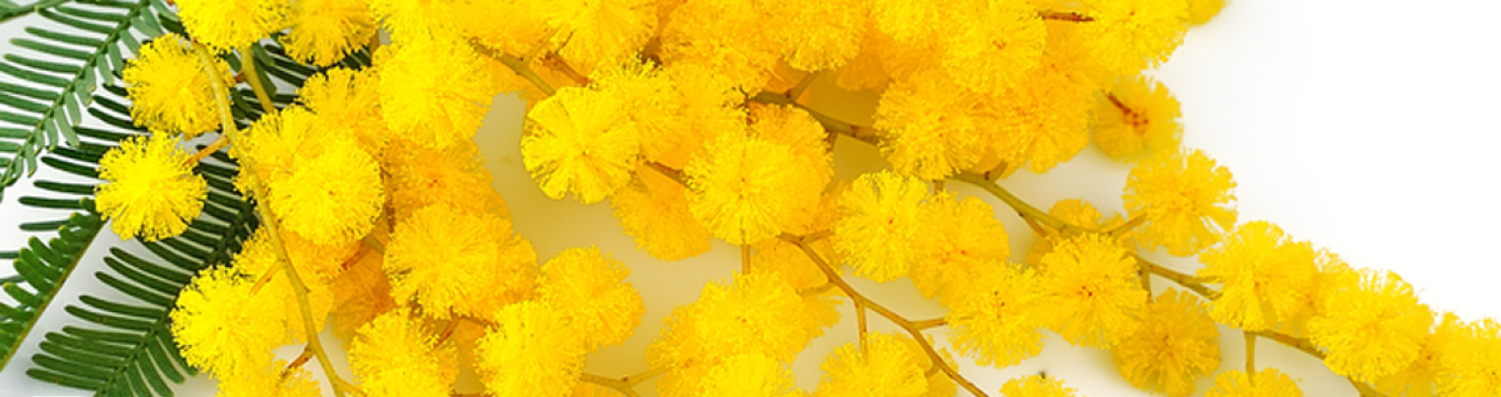 8-marzo-le-donne-entreranno-gratis-in-musei-e-luoghi-d-arte-7bb73.png