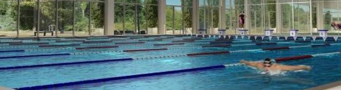 acquarena1.jpg