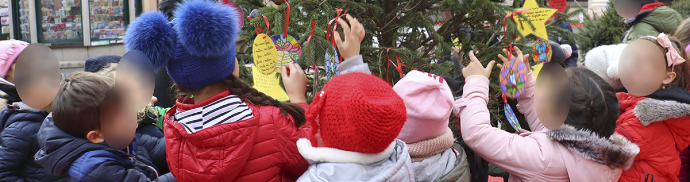addobbi_scuole_natale_alberi_piazza_cavour_1.png