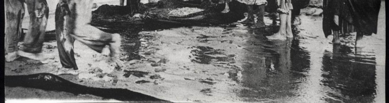afp002005.jpg