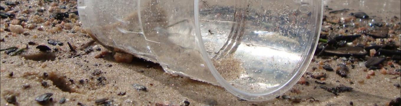 bicchiere-plastica-spiaggia-1140x967.jpg