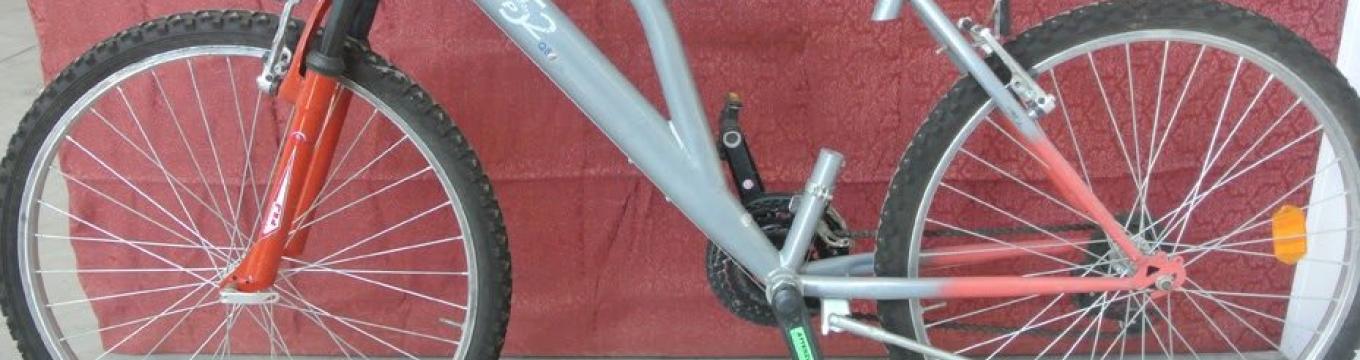 bici.jpg