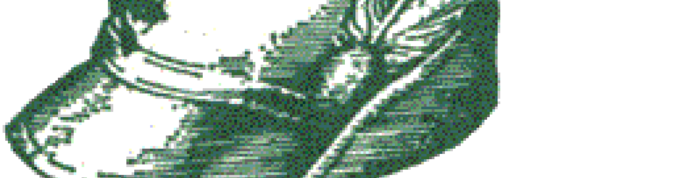 cappellosti.png