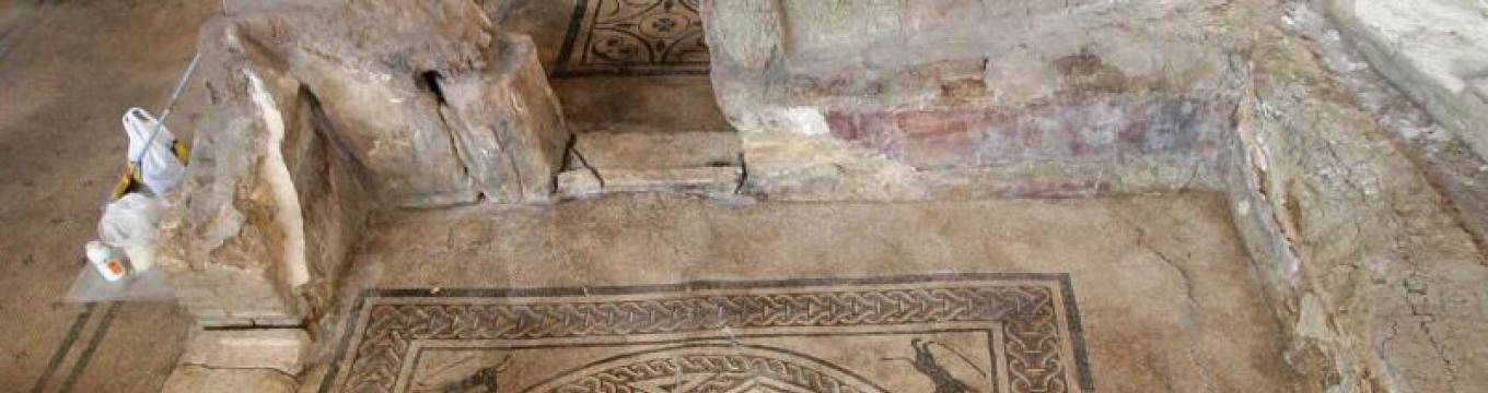domus1.jpg