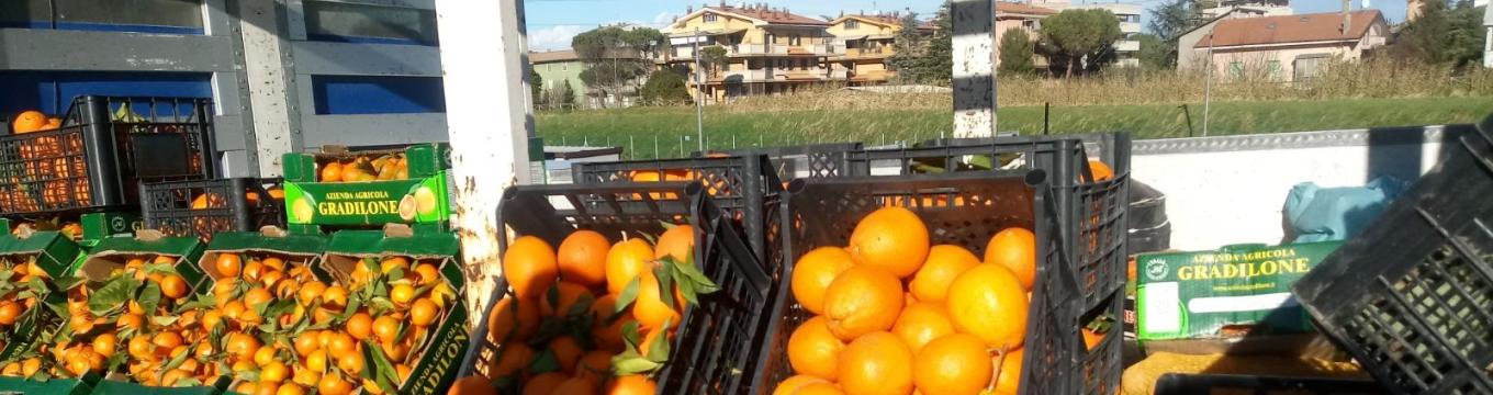 frutta.jpg