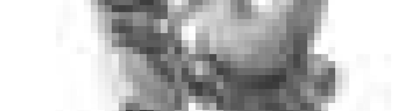 getimage.phpdatabasecomune_riminiid10346ext.jpg