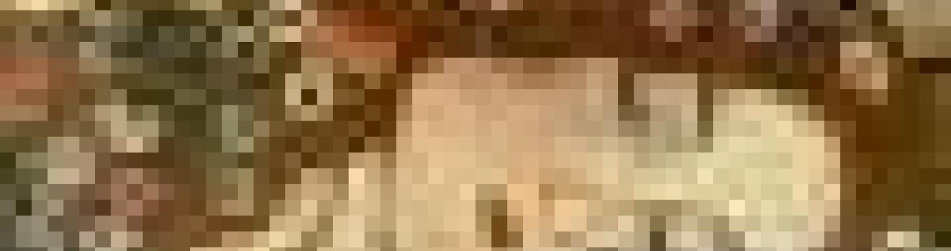 getimage.phpdatabasecomune_riminiid10355ext_0.jpg