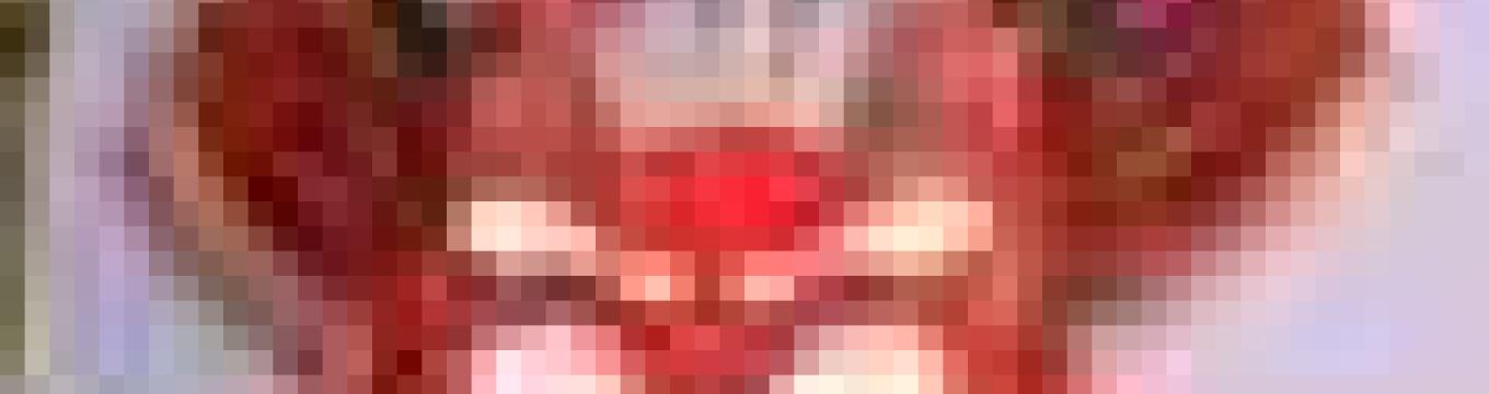 getimage.phpdatabasecomune_riminiid11044ext_0.jpg