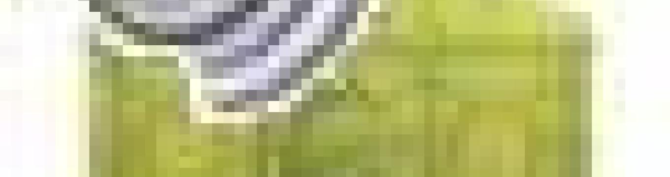 getimage.phpdatabasecomune_riminiid12140ext_0.jpg
