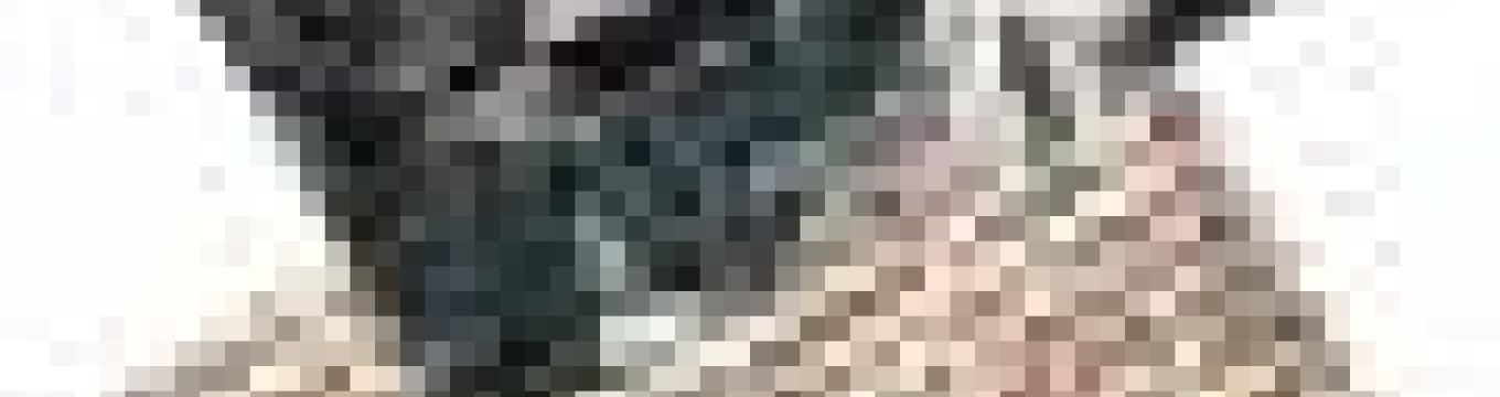 getimage.phpdatabasecomune_riminiid12384ext.jpg