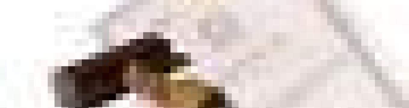 getimage.phpdatabasecomune_riminiid15649ext_1.jpg