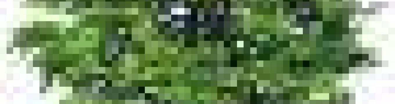 getimage.phpdatabasecomune_riminiid16043ext.jpg