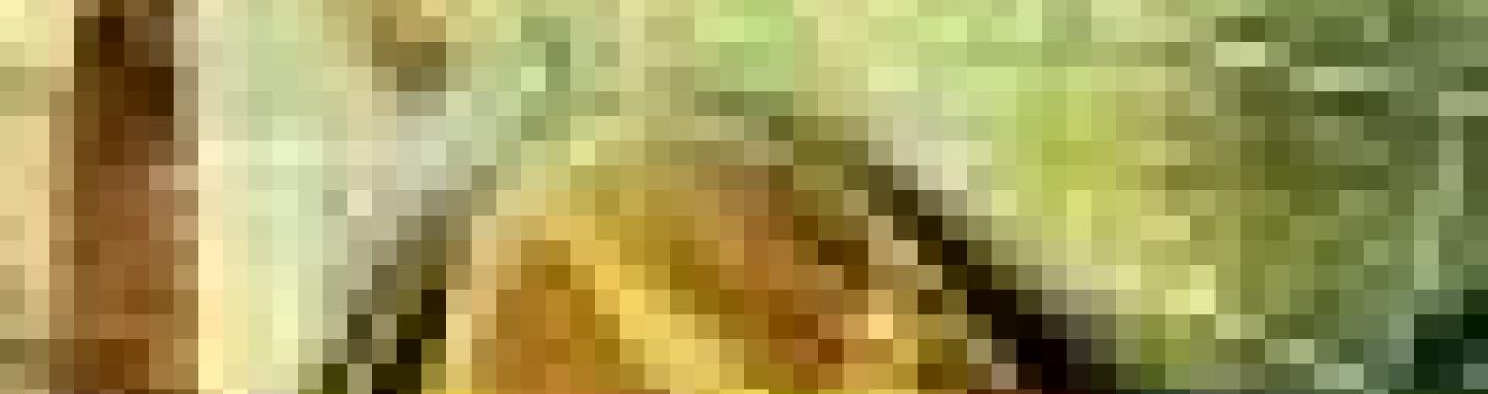 getimage.phpdatabasecomune_riminiid21957ext_0.jpg