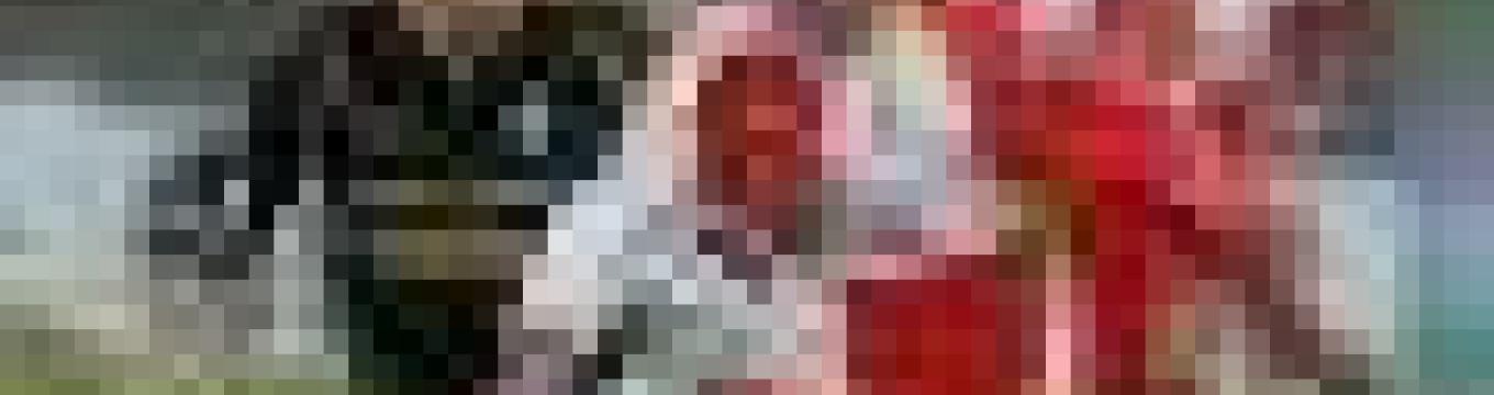 getimage.phpdatabasecomune_riminiid26765ext_0.jpg
