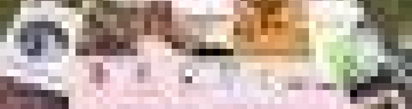 getimage.phpdatabasecomune_riminiid28911ext_0.jpg
