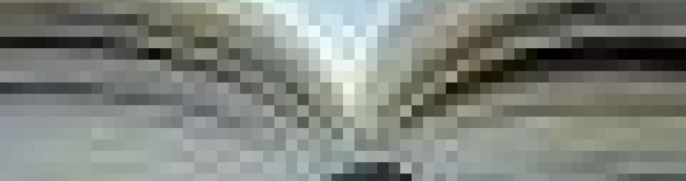 getimage.phpdatabasecomune_riminiid29246ext_0.jpg