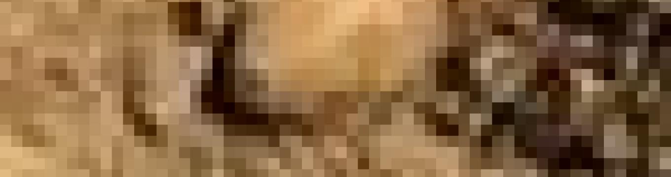 getimage.phpdatabasecomune_riminiid3180ext_0.jpg