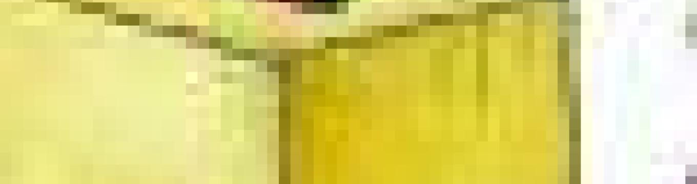 getimage.phpdatabasecomune_riminiid34478ext.jpg