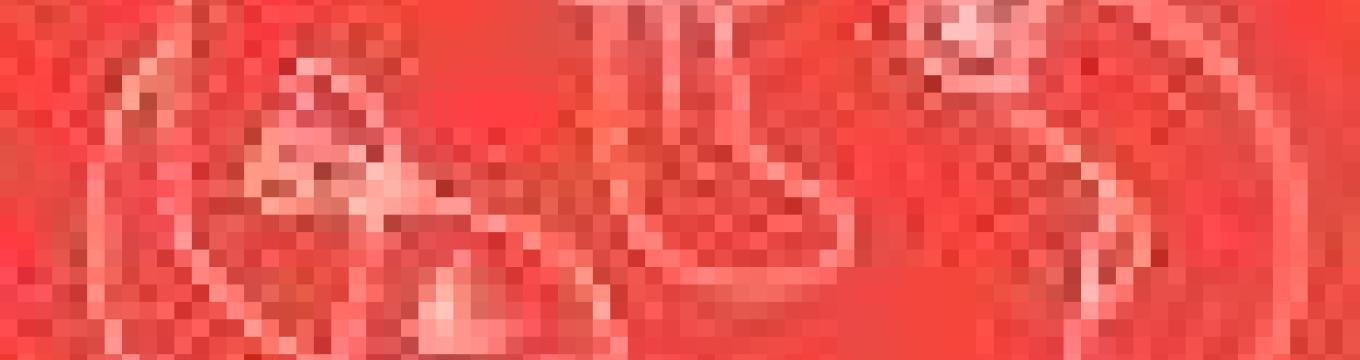 getimage.phpdatabasecomune_riminiid34516ext_0.jpg