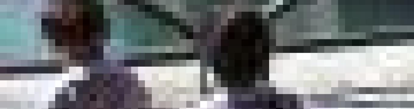 getimage.phpdatabasecomune_riminiid39722ext_0.jpg