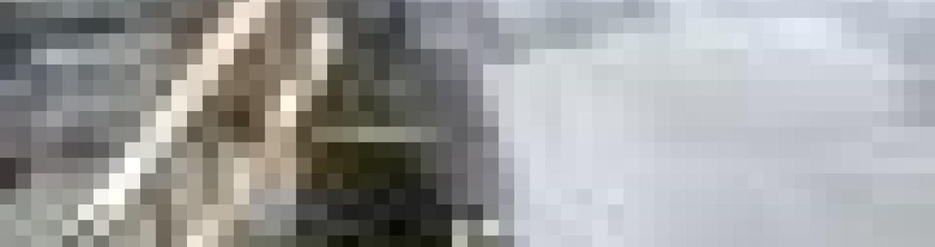 getimage.phpdatabasecomune_riminiid41879ext_0.jpg