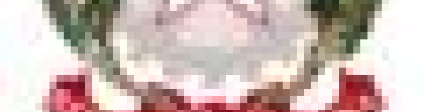 getimage.phpdatabasecomune_riminiid44280ext_0.jpg