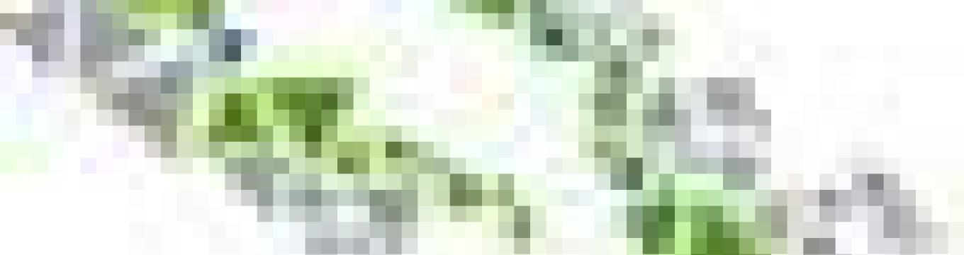 getimage.phpdatabasecomune_riminiid44325ext_0.jpg
