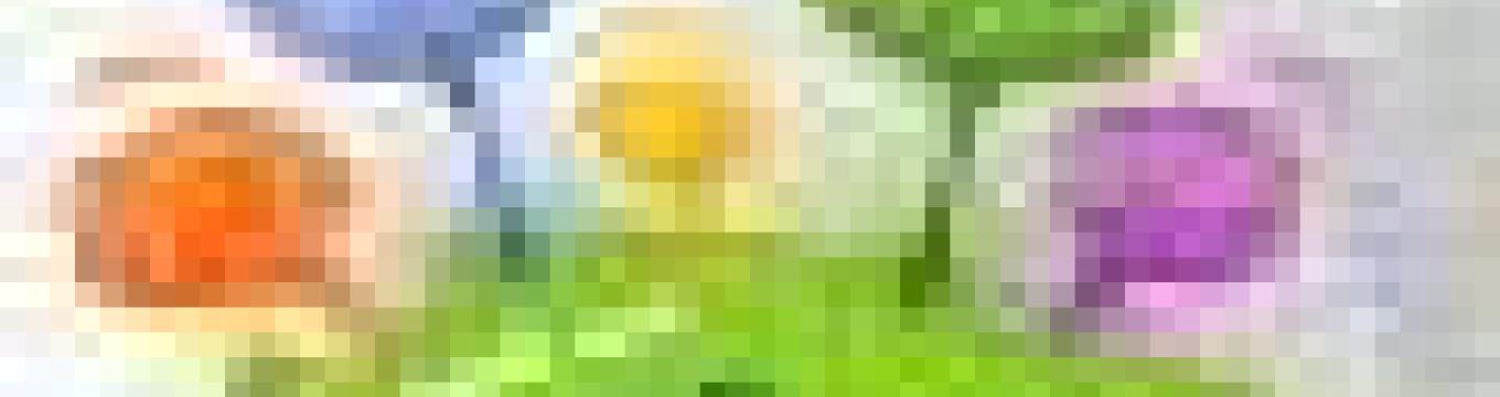 getimage.phpdatabasecomune_riminiid53752ext_0.jpg