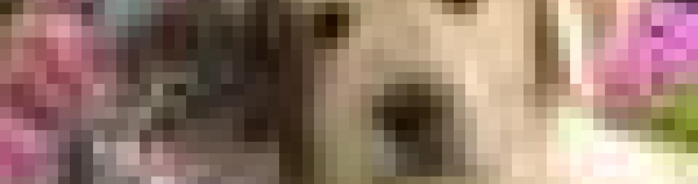 getimage.phpdatabasecomune_riminiid55451ext_0.jpg