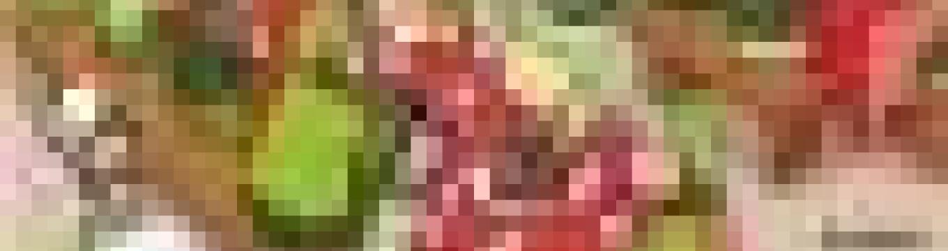 getimage.phpdatabasecomune_riminiid59414ext_0.jpg