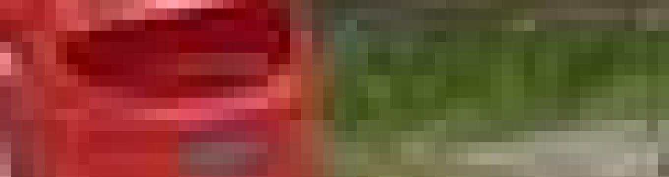 getimage.phpdatabasecomune_riminiidext_445.jpg