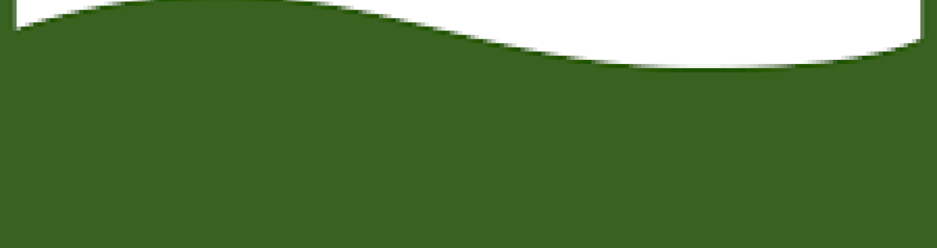 giunta_regionale.png