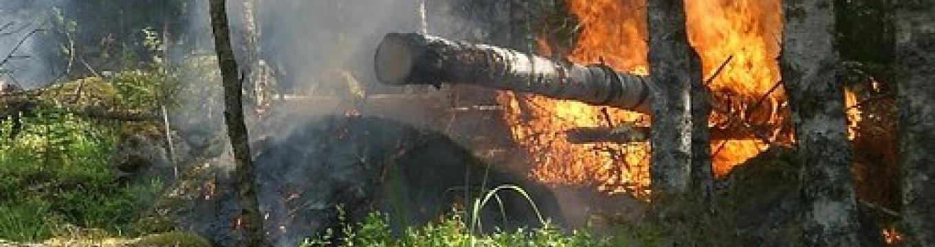 incendio.jpg
