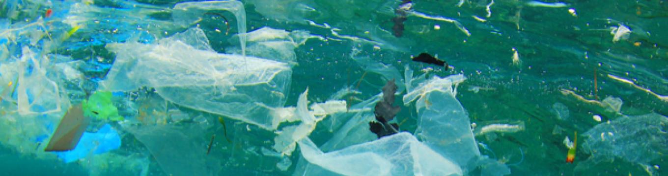 inquinamento-plastica-mare.jpg