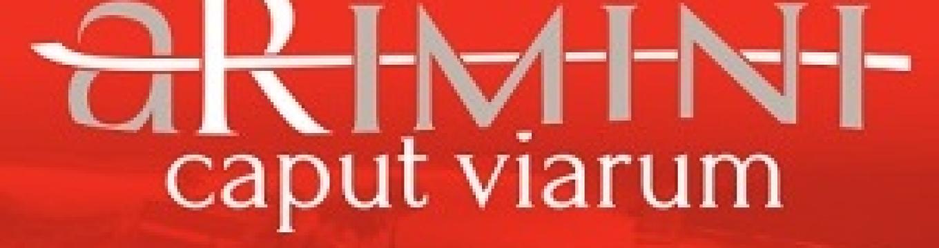 logo_ariminum.jpg