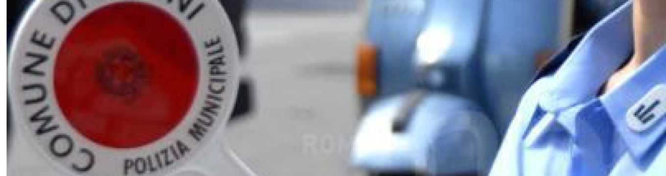 munipale.png