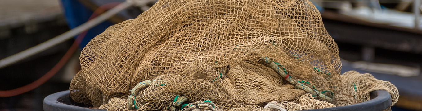 pesca.jpg